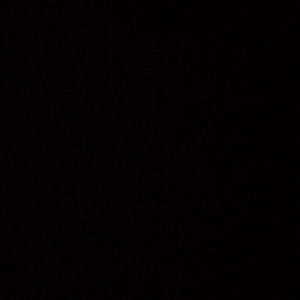 Meet your Posher, Kylie